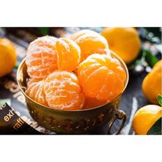 Orange Diamond Paintings Fiyo 5D Diamond Painting Embroidery Wall Art 20 x 30 cm
