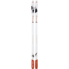 Åsnes Breidablikk Waxless with Binding