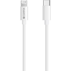 Champion Electronics USB C-Lightning 3.1