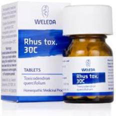 Rhus Tox 30C Toxicodendron Quercifolium
