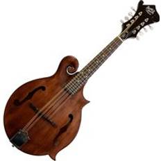 Salvino Mandolin