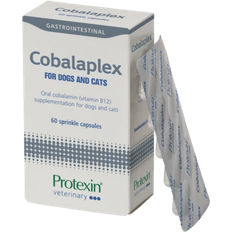 Cobalaplex Dogs & Cats 60