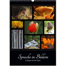Sprache in Bildern Collagen aus der Natur Wandkalender 2025 DIN A3 hoch