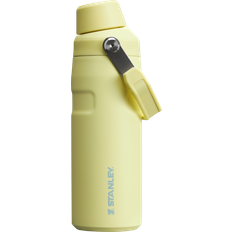 Stanley IceFlow Fast Flow Water Bottle 16 OZ Water Bottle 16fl oz