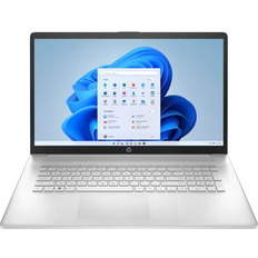 HP 17-cp2651ng Full HD Monitor