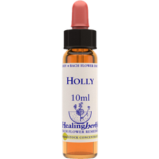 Aroma Creative Holly 10 ml