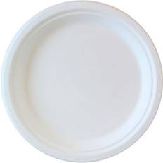 Paper Plates
