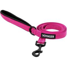 Best Pet Supplies Voyager Reflective Dog Leash with Neoprene Handle 6ft Long Fuchsia L