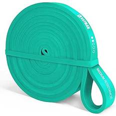 Long Resistance Band with Door Anchor and Carry Bag