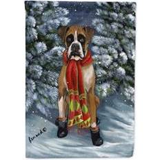 Bandiere e Accessori Carolines Treasures PPP3040CHF Boxer Lets Play Bandiera