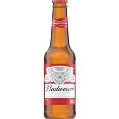 Budweiser Lager 24x330ml