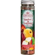 Samuel Alexander Apples and Autumn Scentsicles Hanging Sticks 6 Pack - Brown Christmas Tree Ornament