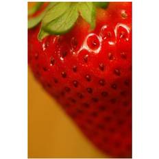 Wood Posters BrainBoosters Close Up of A Strawberry Print 22 x 34 Large Poster