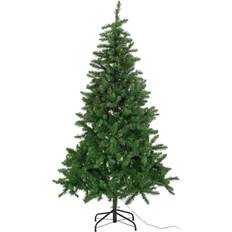 Home Habitat 6ft Pre-Lit Spruce - Green Christmas Tree