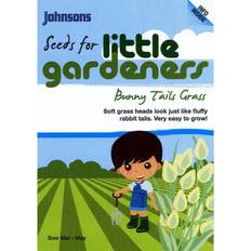 Bunny Tail Grass 100 Green