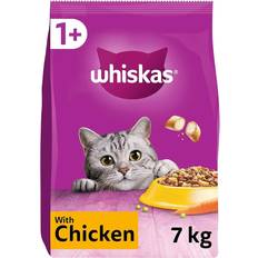 Whiskas 1+ Adult Chicken Adult Dry Cat Food 7 kg Pack of 1