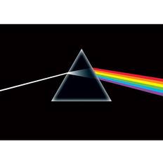 Pink Floyd Dark Side Of The Moon Maxi Poster