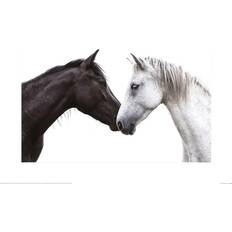 Lisa Saint Light To Your Dark 40cm x 50cm White/Black Poster
