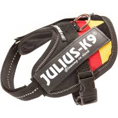 Julius-K9 16IDC-DE-BB2 IDC Powerharness Dog Harness Baby 2