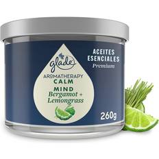 Glade Aromatherapy Up to 37 Hour Burn Time Scented Candle