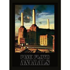 Pink Floyd Pink Floyd Animals 30 x 40 cm Print Framed Art
