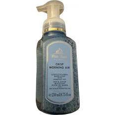 Bath & Body Works Toiletries Bath & Body Works Foaming Hand Soap 8.75oz 259ml