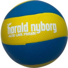 Volleyboll Harald Nyborg Volleyboll Storlek 5