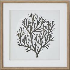 Glass Framed Art Hill Interiors Atol Coral Print Framed Art