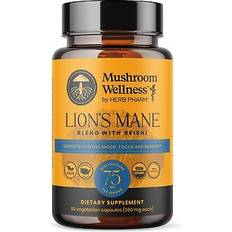 Lions Mane Blend 90 Capsules