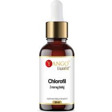 Yango Weißes Maulbeer Chlorophyll In Tropfen 30 ml