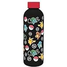 Vattenflaska Rostfritt Stål 500 ml