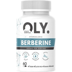 Berberine 500mg Vcaps
