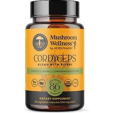 Herb Pharm Cordyceps Blend with Reishi 90 Capsule