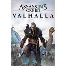 Assassins Creed Valhalla