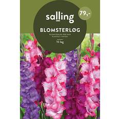 Salling Blomsterløg 16 Stk