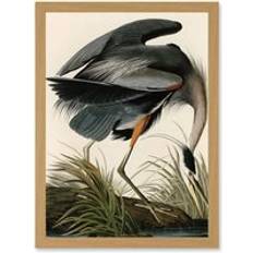Interior Details ARTERY8 Audubon Birds Great Blue Heron Painting Artwork Wall Print A4 - Tan - One Size Framed Art