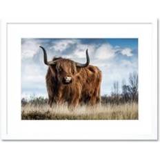 Interior Details ARTERY8 Wall Print Scottish Highland Cow Coo 7 inch x 9 inch Framed Art