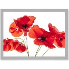 Interior Details ARTERY8 Photo Nature Flower Poppy Heads Red Petals A4 Artwork Wall Print One Size Framed Art