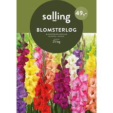 Blomsterløg Salling Blomsterløg 25 Stk