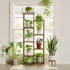 No Tall Plant Stand for Indoor Plants 9 Pots 11.75 In W X 56.0 In H X 22.75 In D