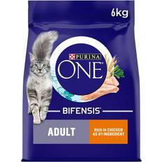 Purina ONE Adult Dry Cat Food Rich 6kg