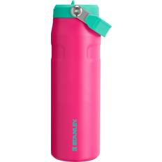 Water jug with straw Stanley IceFlow Bottle 24 oz Passion Pink Water Bottle