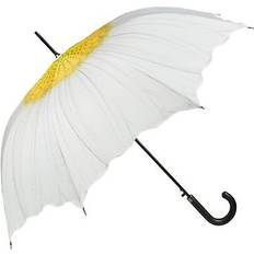 Flower Marguerite Daisy Art Print Walking Length Umbrella