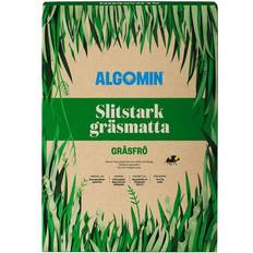 Gräsfrö Slitstark gräsmatta