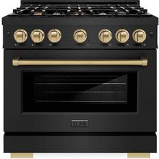 Ranges ZLINE 36 in 6-Burner Gas Range with Gas Convection Oven Stainless Steel