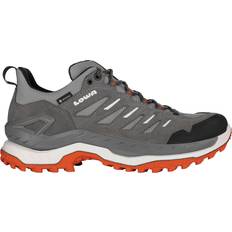 Lowa Herr Skor Lowa Innovo GTX Låga Skor För Män - Transparent
