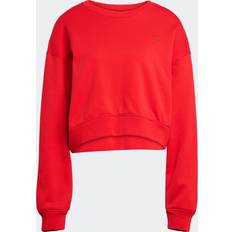 Adidas Gula Tröjor adidas Sweatshirt Nelson