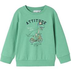 Gröna Sweatshirts Name It Nmmvalexander Ls Nreg Sweatshirt - Creme De Menthe/Attitude