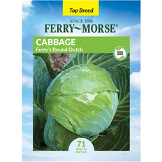 Ferry-Morse 500MG Cabbage Round Dutch Annual Vegetable Seeds Full Sun