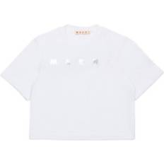 Bluser & T-shirts - Sølv/Hvid